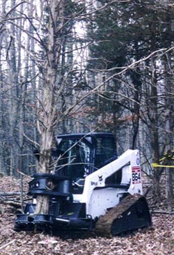 14” Forestry Tree Shear