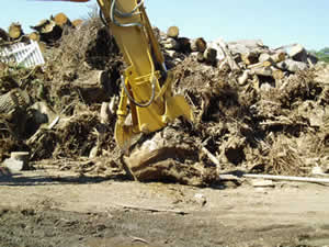 VSS Stump Shear in action